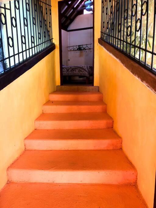 Villa Del Idaan Bocas del Toro Esterno foto